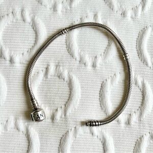 Pandora Snake Chain Bracelet